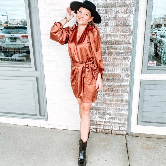 Bronze Long Sleeve Dress - Picture 4 of 8